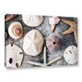 thumbnail image 2 of ArtWall Elena Ray "Treasures From The Sea" Gallery-wrapped Canvas, 2 of 2