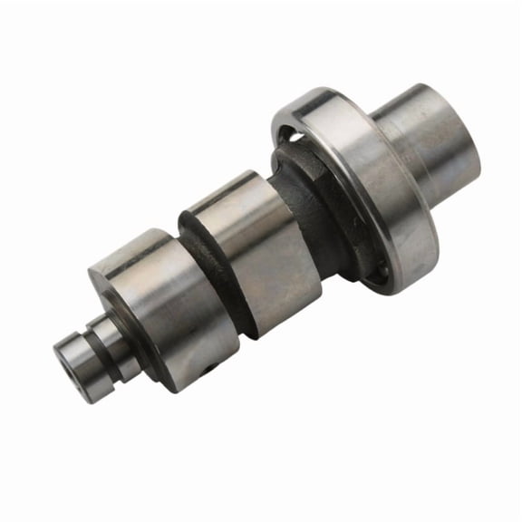 Applies to Motorcycle Camshaft For Yamaha YBR250 XTZ250 YS250 FAZER250 YBR XTZ FAZER 250cc 1S4-E2170-10 12B-E2171-00
