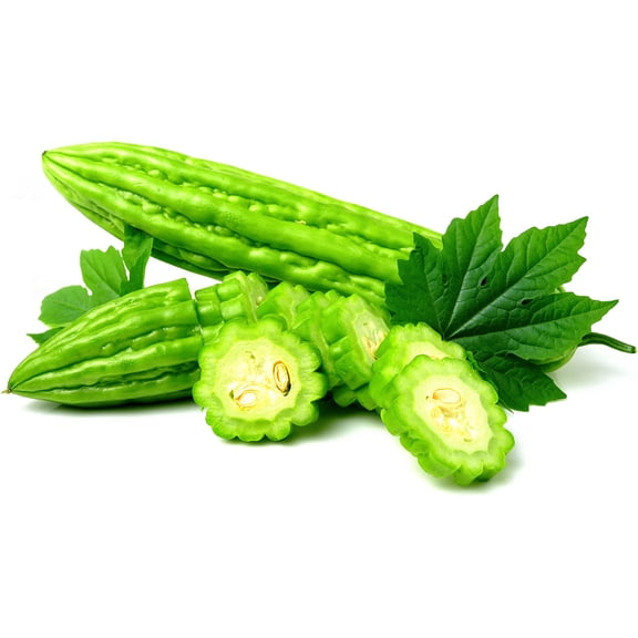 CZ Grain 10 Smooth Bitter Melon Vine Plant Seeds, Non-GMO