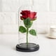 thumbnail image 4 of Flor De Rosa Eterna, Pantalla De Cristal, Belleza, Lámpara Led Con Batería, Boda, Cumpleaños, Decoración De Fiesta De San Valentín Yuarrent HA021815-00, 4 of 7