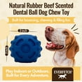 thumbnail image 2 of Natural Rubber Beef Scented Dental Ball Treat-Holder Dog Chew Toy, 2 of 6