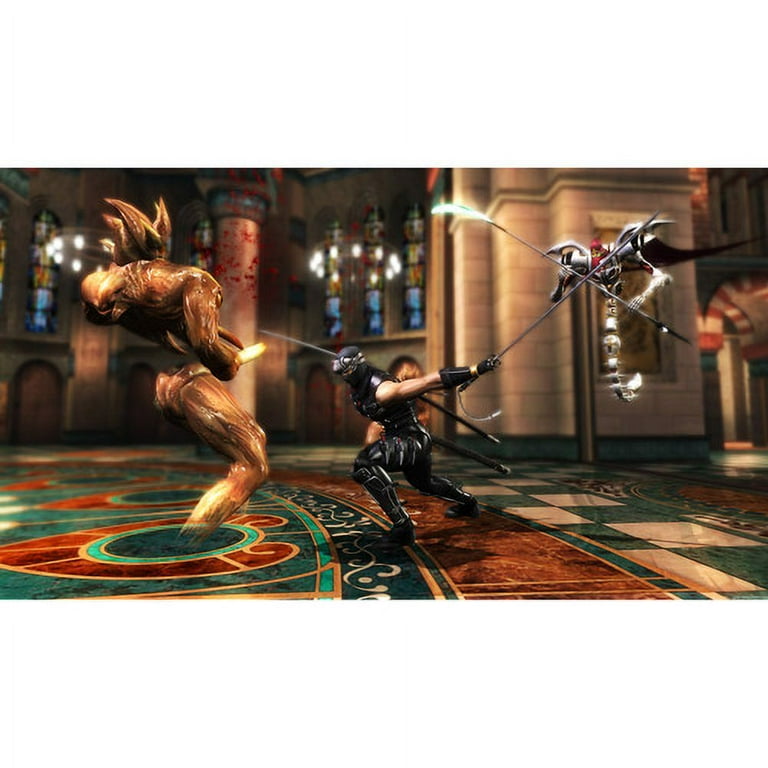 Ninja Gaiden 5