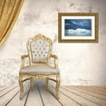 thumbnail image 3 of Rotenberg, Nancy 14x10 Gold Ornate Wood Framed with Double Matting Museum Art Print Titled - AK, Inside Passage Bald eagle perched on ice, 3 of 4