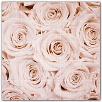 Picture-Tiles.com: Flowers Ceramic Tile Wall Mural WAL500630-55S. 21.25"W x 21.25"H using (25) 4.25" x 4.25" Ceramic Tiles-Satin Finish