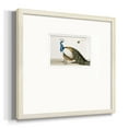 thumbnail image 2 of Standing PeacockPremium Framed Print, 2 of 5