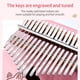 thumbnail image 3 of Carlimba Piano Pulgar Piano Dedo Instrumento Rosa Portátil Dedo Piano Para Principiantes Noticed EL011347-00, 3 of 5