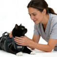 thumbnail image 1 of Bolsa de aseo para gatos Cinf, sujeción antirrasguños, negra, talla S, 1 of 8