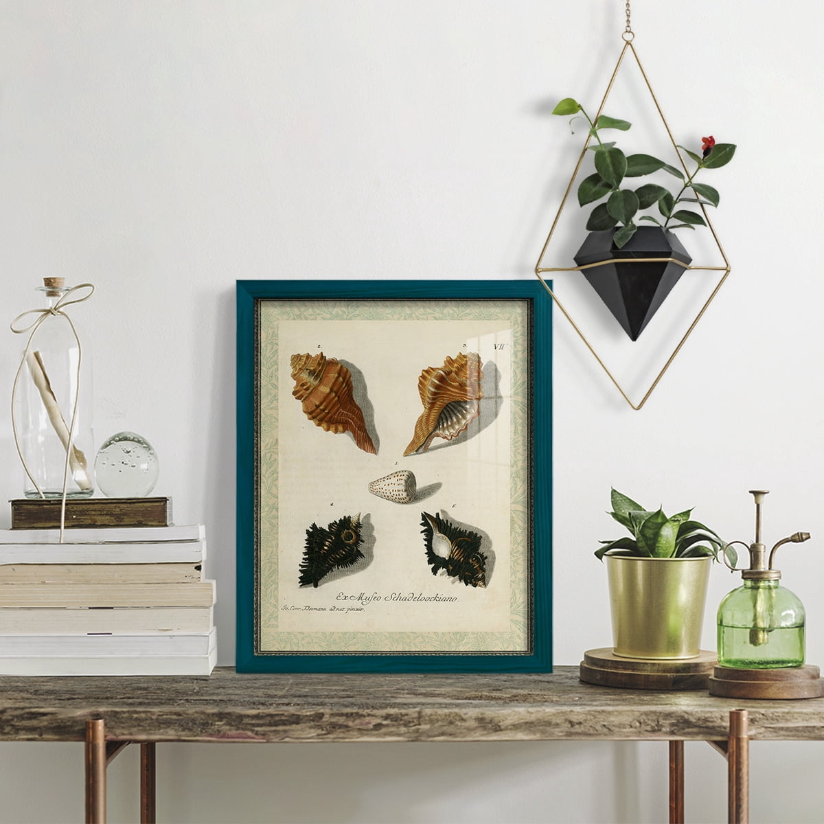 Bookplate Shells I - Framed Print w/glass - Ocean Blue