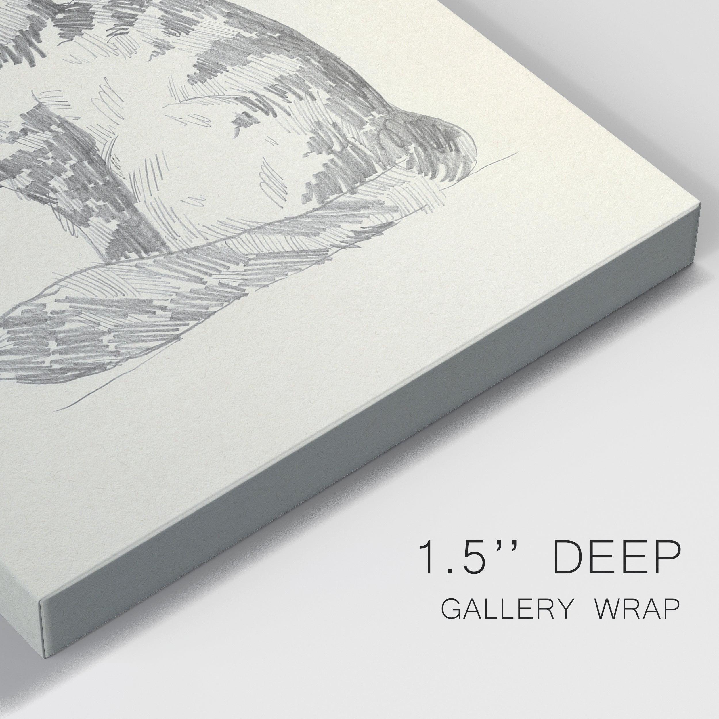 House Cat II Premium Gallery Wrapped Canvas - Ready to Hang