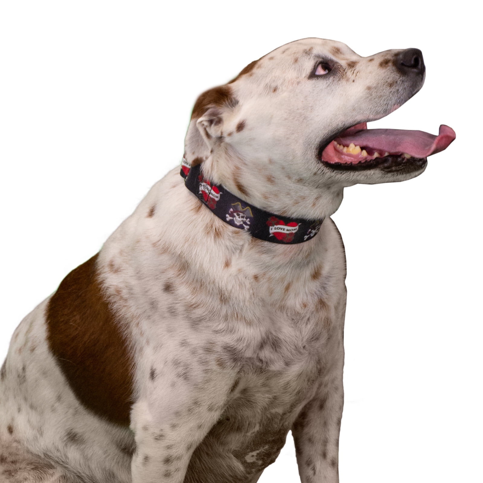 Country Brook Petz® HossFit Jr Wide Martingale with Premium Buckle (I Love Mom, Medium)