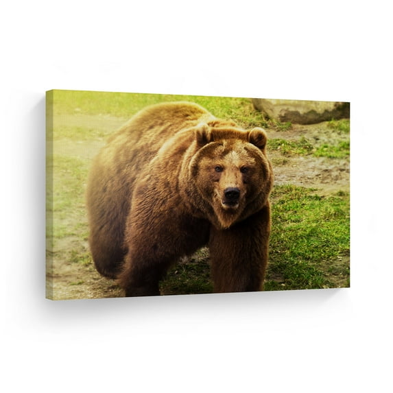Smile Art Design Printed Animal Abstract Framed Canvas Art Print,11" x 17"