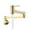 Brushed Gold, variant on Modern Tap Cold Water Folding Arm Kitchen Faucet Bathroom Sink Pot Filler Splash Proof Brass Basin Wall Mount Double Switch