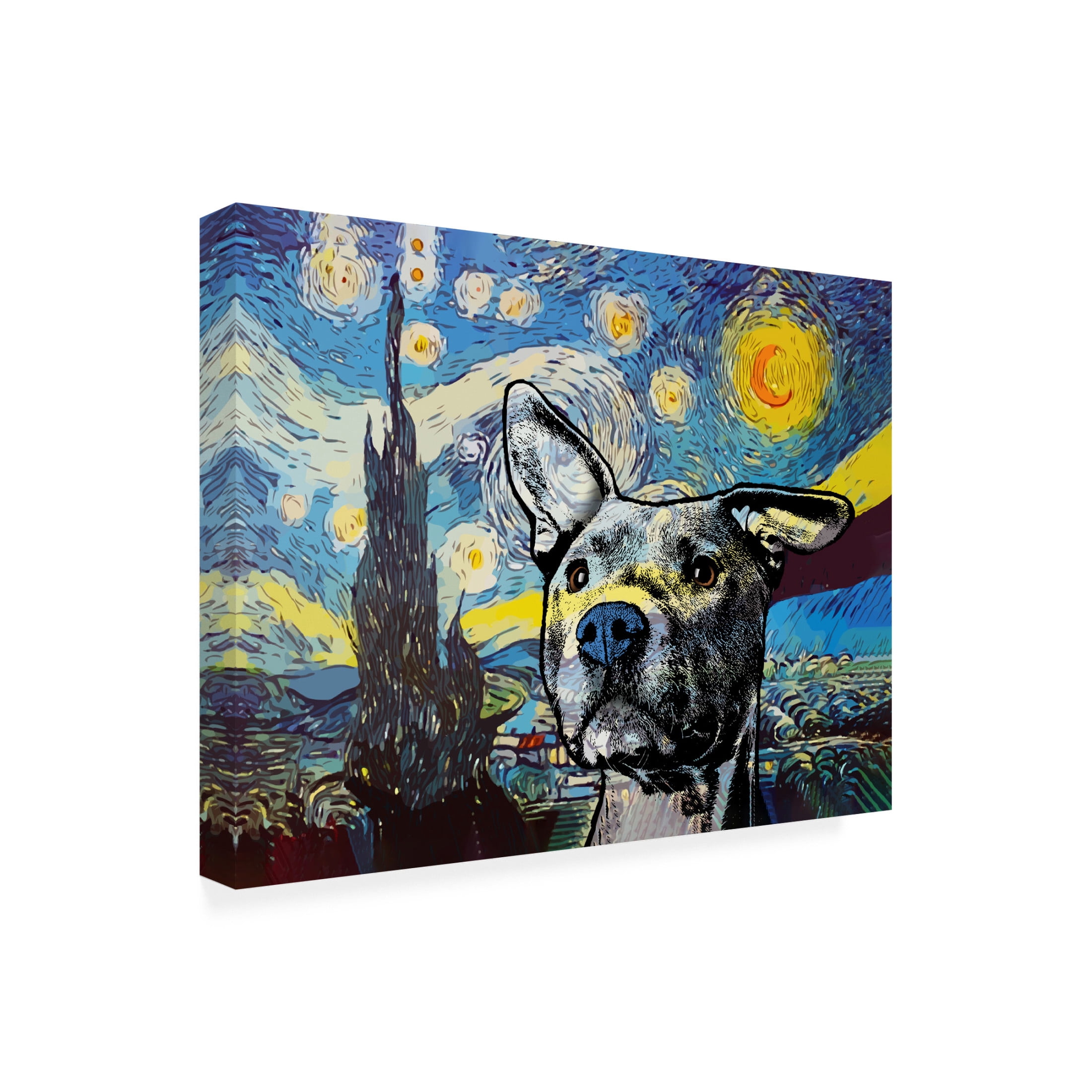 Canvas Wall Art - Dean Russo 'Starry Pittie' Wall Art for Living Room, Bedroom, or Office Décor by Trademark Fine Art - 24 x 18 Inches