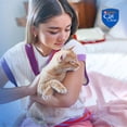 thumbnail image 4 of Alimento para Gato Cat Chow Carne Adultos 85 g, 4 of 7