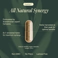 thumbnail image 3 of Suplemento Nutricional Ecosh ParaHerb 240 Cápsulas Desintoxicación Intestinal, 3 of 7