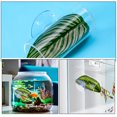 thumbnail image 3 of CATIEBYE Tunnel pour Poisson Betta Cachette pour Poisson Betta Accessoires de Réservoir en Acrylique Lot de 1, 3 of 8