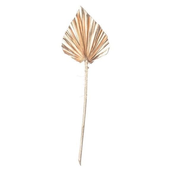Vickerman Natural Botanicals 15.75 - 19.5" Metallic Gold Dried Palm Spear, 12 per bag.