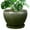 Dark Green, variant on Ordivic 6 Inch Blue Ceramic Planter Pots with Drainage Hole and Saucer, Glazed Flower Pot for Indoor Succulents and Herbs