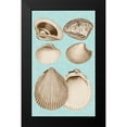 thumbnail image 2 of Vision Studio 12x18 Black Modern Framed Museum Art Print Titled - Sepia And Aqua Shells IX, 2 of 5