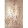 thumbnail image 2 of YK Studios 11x14 Black Ornate Wood Framed with Double Matting Museum Art Print Titled - Delicate I, 2 of 4