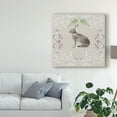 thumbnail image 3 of Trademark Fine Art 'Hare & Antlers I' Canvas Art by Naomi McCavitt, 3 of 4