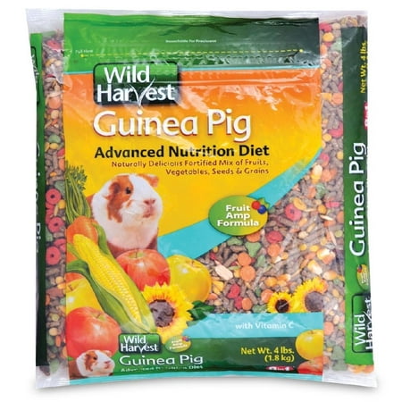 Wild Harvest Advanced Nutrition Diet Guinea Pig Food, 4 (Best Hay For Guinea Pigs To Eat)