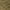 Olive Excavated Camo, variant on Levi Strauss Signature Men's and Big and Tall Secure Cargo Shorts