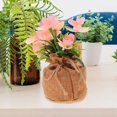 thumbnail image 4 of WASHWEPE Phalaenopsis Artificial En Maceta Color Rosa Para De Interiores Y Centro De, 4 of 6