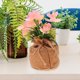 thumbnail image 4 of unbranded Flor Artificial Phalaenopsis Rosa Para Duradera Y, 4 of 6