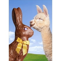 Avanti Press Llama and Chocolate Bunny Funny / Humorous Easter Card
