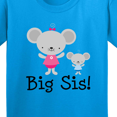 thumbnail image 4 of Inktastic Big Sis with Lil Bro Girls Sister Announcement Youth T-Shirt, 4 of 5