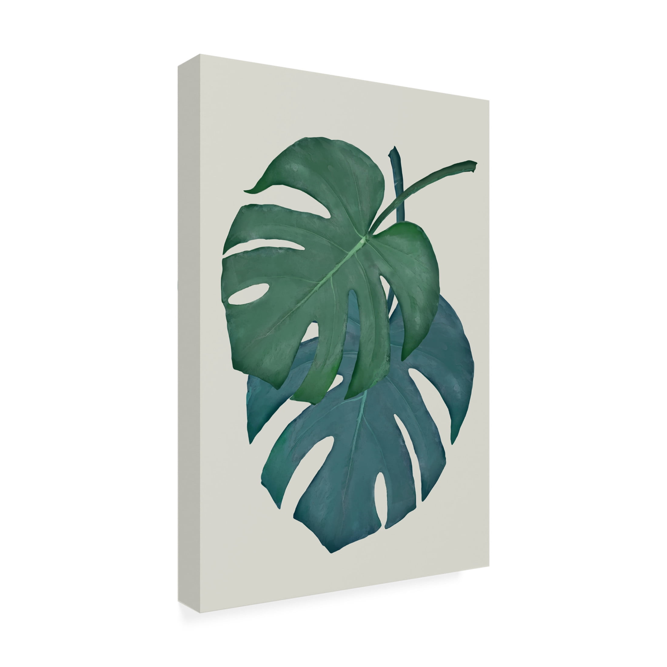 Canvas Wall Art - Pictufy Studio Ii 'Monstera Aqua 06' Wall Art for Living Room, Bedroom, or Office Décor by Trademark Fine Art - 16 x 24 Inches