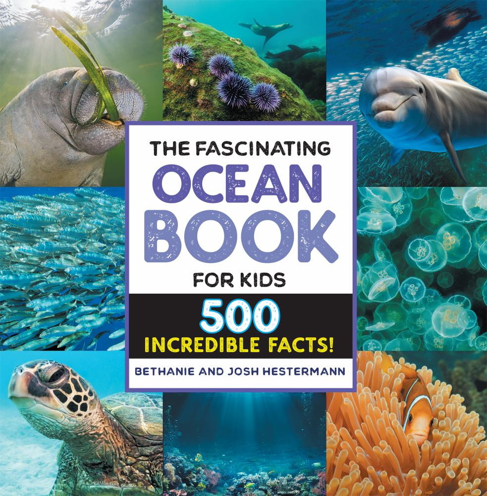 洋書 AMAZING SEA FACTS Fascinating Facts The Fascinating Ocean Book for Kids: 500