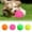 Multicolor, variant on Darzheoy Squeaky Fetch Spike Balls Toys for Pet Small Dogs Puppy Rubber 2 Pack Bright Colors Chew Teething Toys Pet Squeaky Chewing Balls (Random)