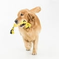 thumbnail image 2 of Vibrant Life Large Rubber Rope Dog Toys, 2 of 5