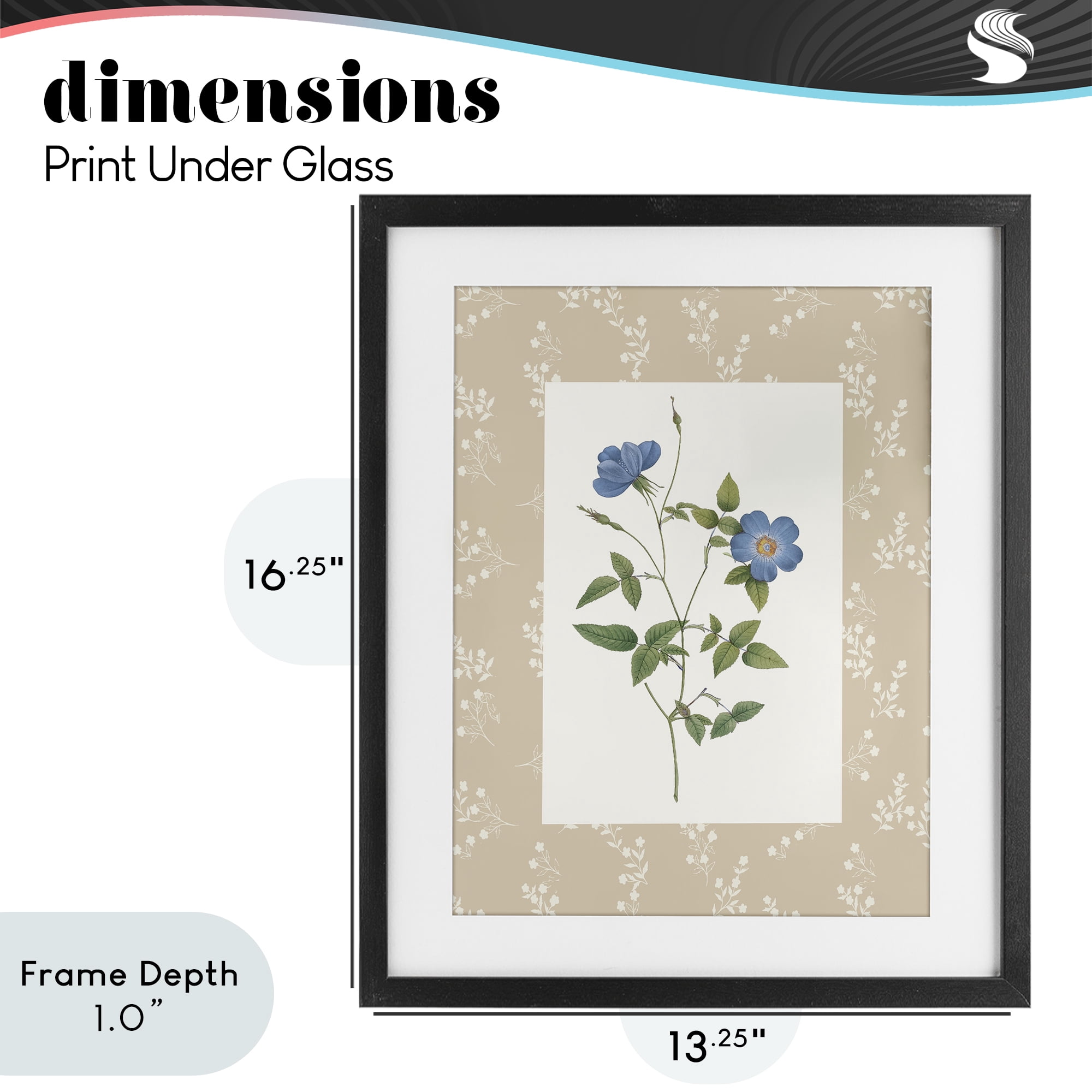 Stupell Industries Vintage Botanical Plate Black Framed Print Under Glass, design by Val Rhodes