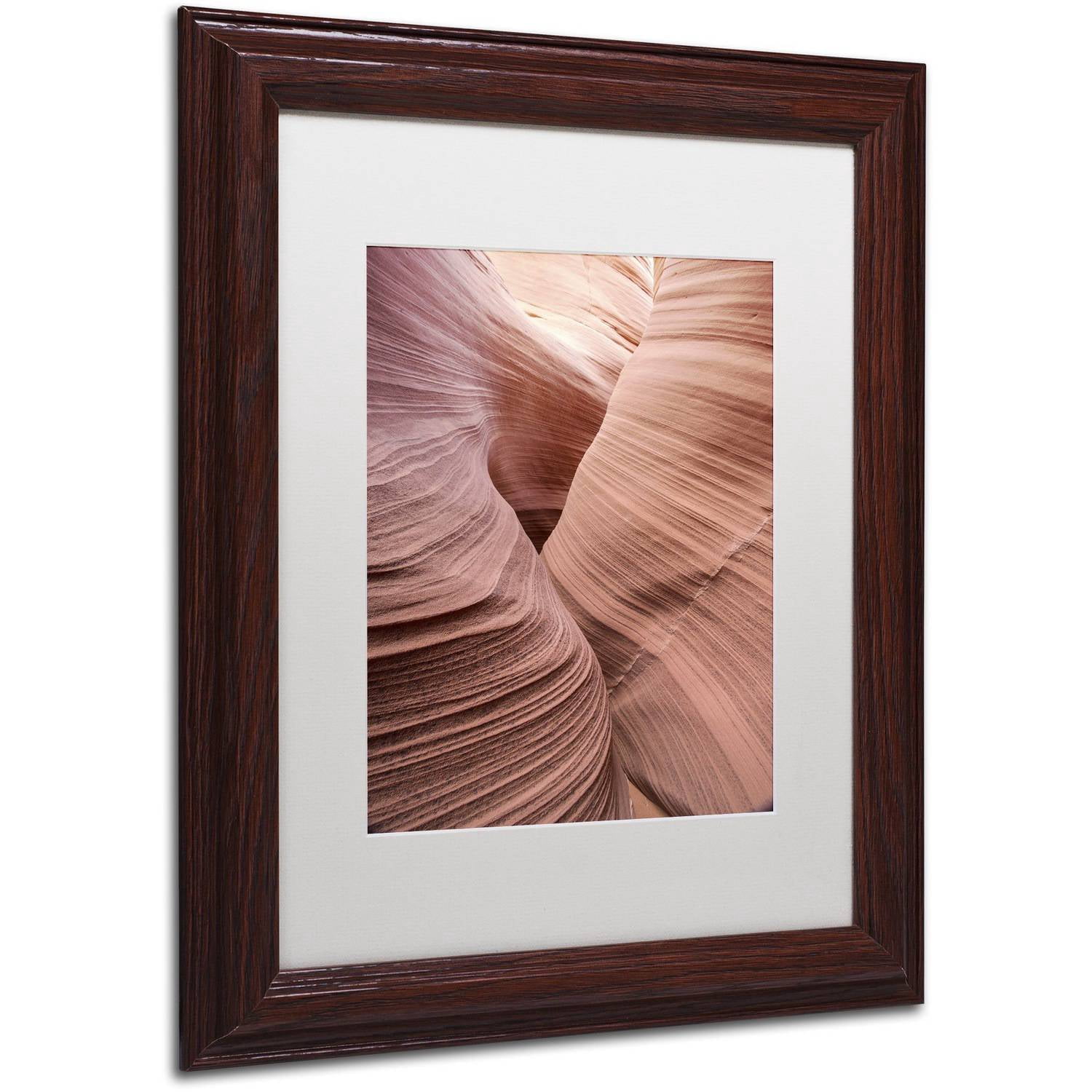Trademark Fine Art "Spiral V" Canvas Art by Moises Levy White Matte, Wood Frame
