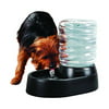 Etna Electronic Pet Water Fountain and Dish