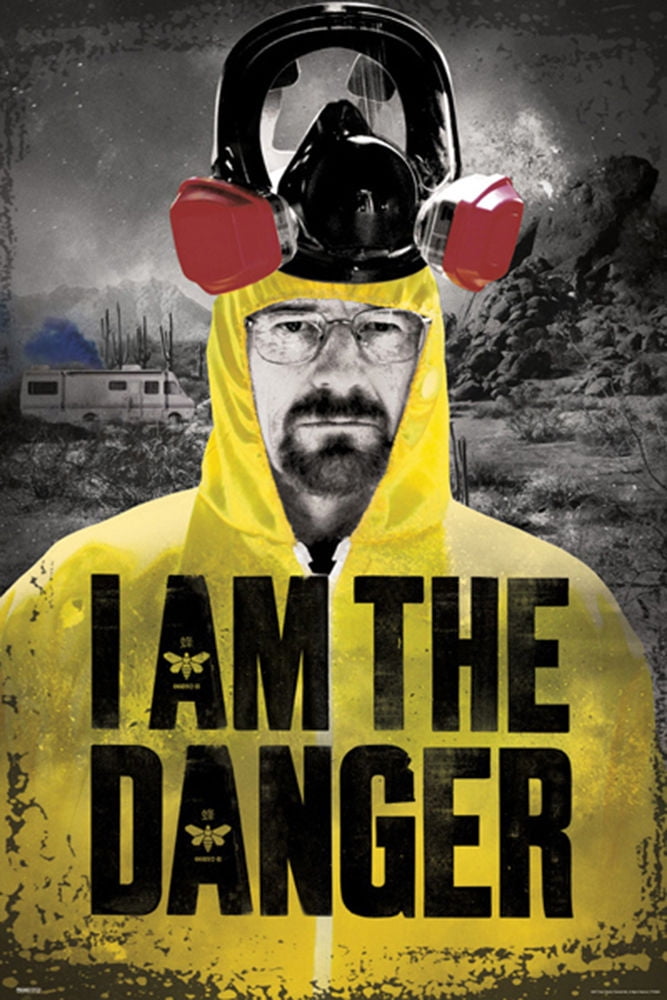 "I Am The Danger" Breaking Bad Wall Art Modern Wall Art Sticker Decal 