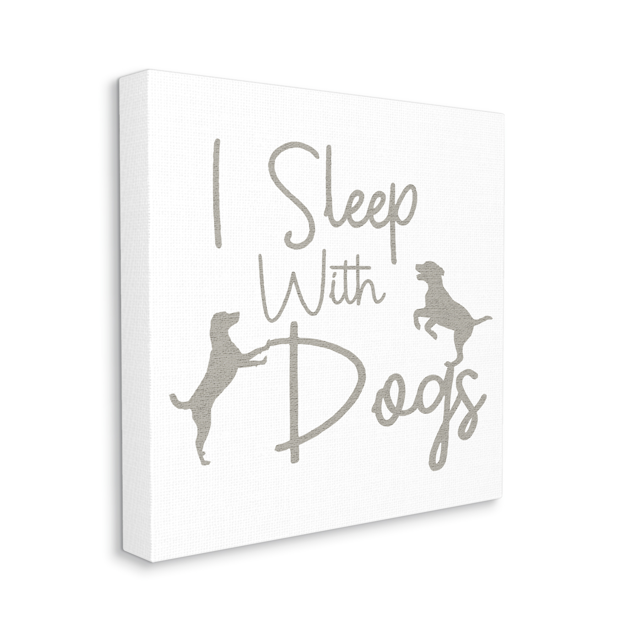 Stupell I Sleep With Dogs Funny Pet Phrase Animals & Insects Painting Gallery Wrapped Canvas Print Wall Art
