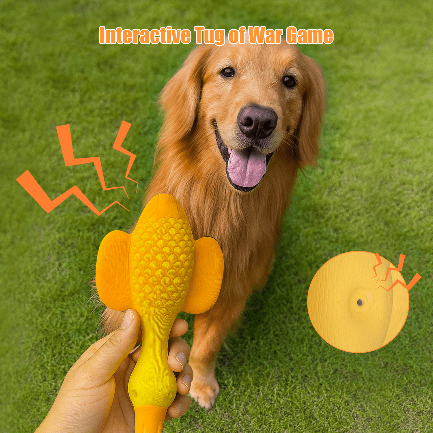 Latex Duck Dog Toys,Interactive Tug of War Dog Toy,Original Sound Squeaks,Durable Chew-Resistant Design for Clean Teeth,Great for Fetch, Casual Playtime, and Regular Chewing