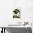 thumbnail image 2 of ARTCANVAS Great Blue Heron Canvas Art Print by John James Audubon - Size: 18" x 12" (0.75" Deep), 2 of 9