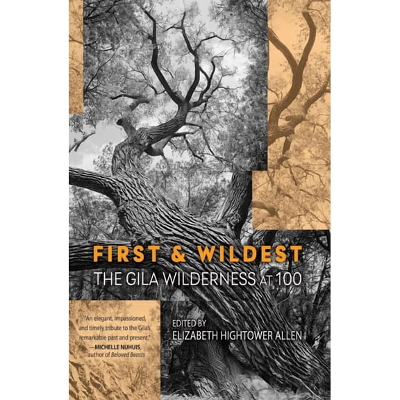 First and Wildest: The Gila Wilderness at 100 (Paperback)