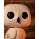 thumbnail image 2 of Pop Funko Movies: Harry Potter - 10 Hedwig (Target Exclusive) Funko -, 2 of 4