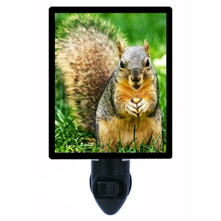 

Squirrel Decorative Photo Night Light Plus One Extra Free Switchable Insert. 4 Watt Bulb. Image Title: Nuts For Nuts. Light Comes with Extra Bulb.