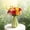 Green-yellow, variant on Home Decor Nordic-Style Striped Colorful Ceramic Vase