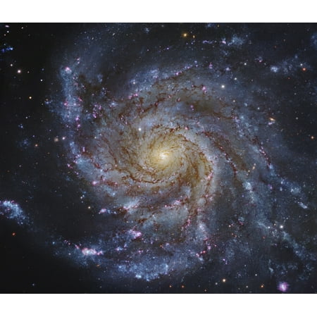 Pinwheel Brooch Pin - Messier 101 The Pinwheel Galaxy in Ursa Major Canvas Art - Robert GendlerStocktrek Images (30 x 26)