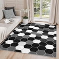 thumbnail image 1 of 2x3 Rug, Geometric Door Mat Washable Non Slip Soft for Entryway, Black and White Honeycomb Rug, Modern Carpet, Geometric Home Decor & Gifts, 1 of 7