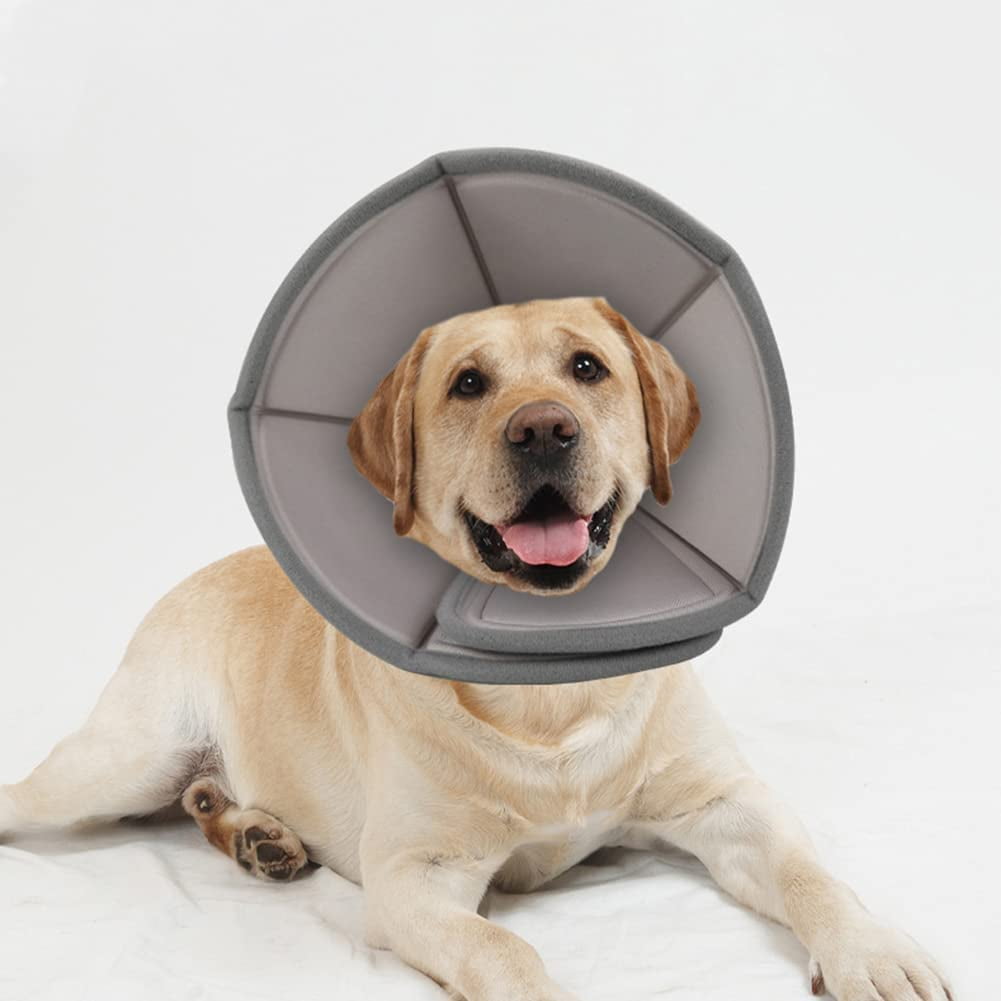 Dog paw cone discount
