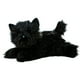 thumbnail image 1 of Peluche Aurora® Adorable Flopsie™ Toto™ Marrón 30 cm, 1 of 4